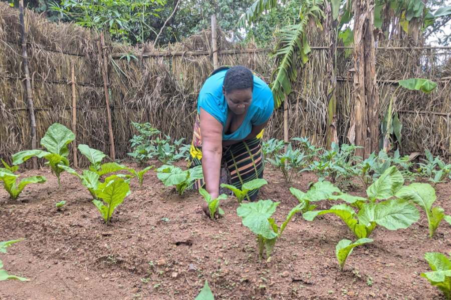 Judith Chunga in her vegetable garden