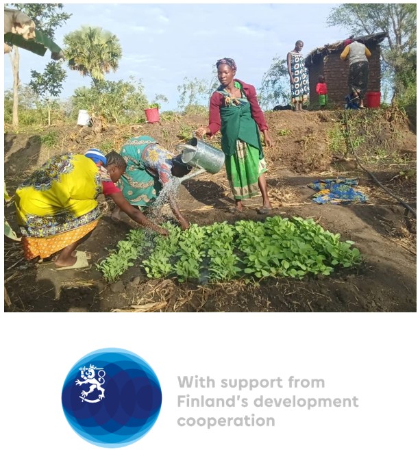 Farmers’ Clubs members taking care of the nursery bed | DAPP Malawi