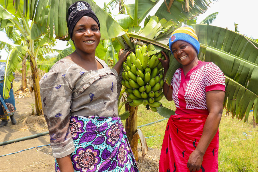 Farmers showing their crops agriculture | dapp malawi