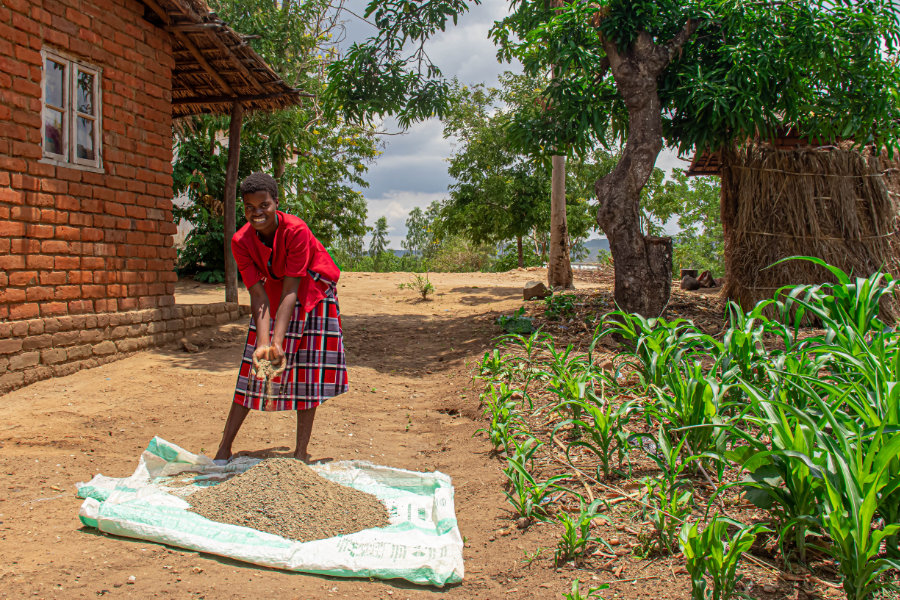 We promote food production at household level | DAPP Malawi